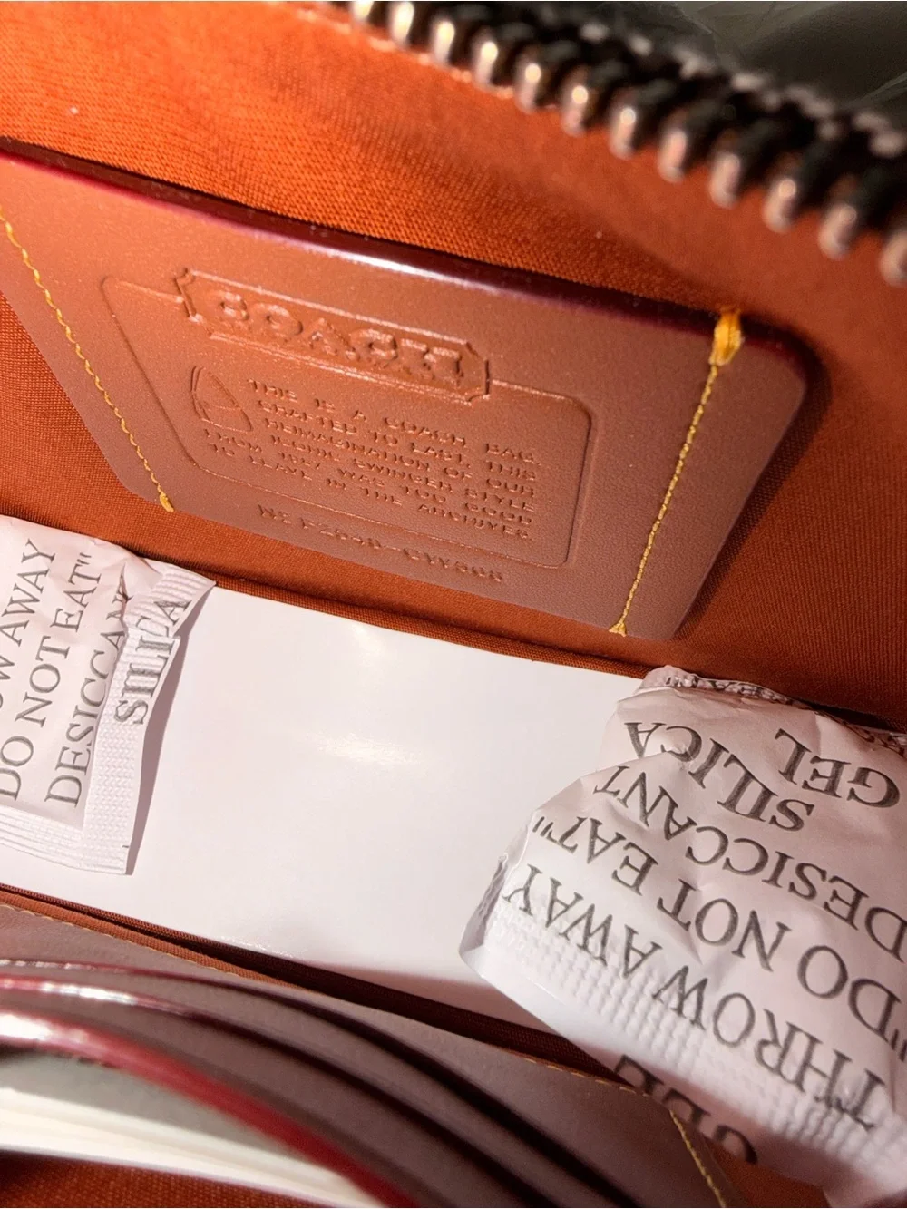 Coach Swinger 20 bag in crystal signature bag
